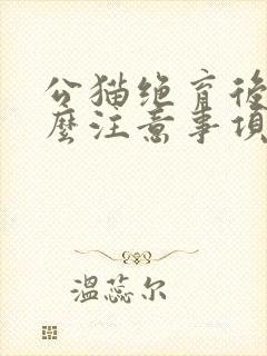 公猫绝育后有什么注意事项