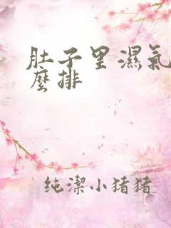 肚子里湿气重怎么排