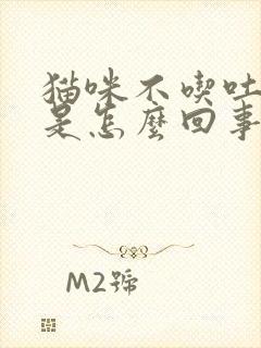 猫咪不吃吐黄水是怎么回事