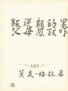 叛逆期的男孩打父母应该咋办