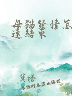 母猫发情怎么快速结束