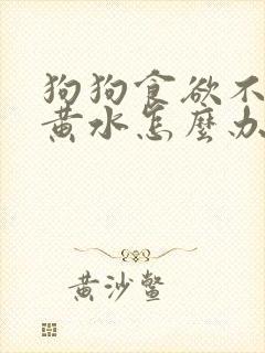 狗狗食欲不振吐黄水怎么办