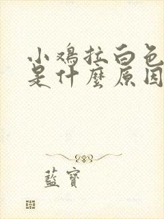 小鸡拉白色的屎是什么原因