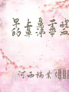 早上鼻子醒出来的鼻涕带血丝