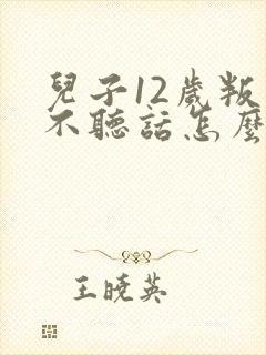 儿子12岁叛逆不听话怎么办