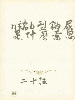 n端b型钠尿肽是什么意思