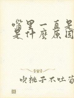 嘴里一直是苦的是什么原因