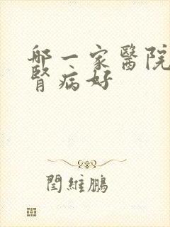 哪一家医院治疗肾病好