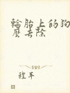 轮胎上的狗尿怎么去除