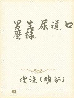 男生尿道口长什么样