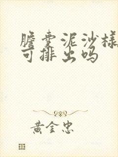 胆囊泥沙样结石可排出吗