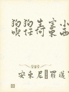 狗狗生完小狗不吃任何东西怎么办