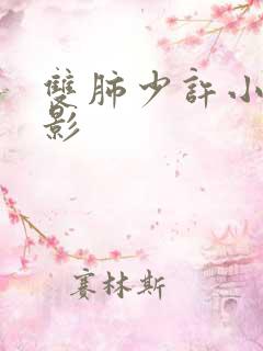 双肺少许小结节影