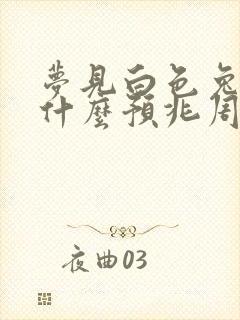 梦见白色兔子是什么预兆周公解梦