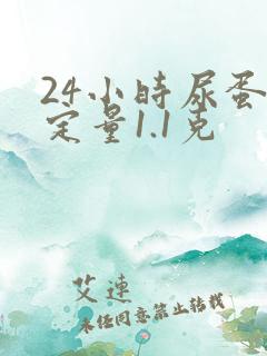 24小时尿蛋白定量1.1克