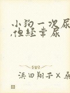 小狗一次尿一点,但经常尿