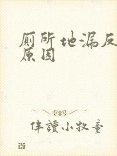 厕所地漏反臭味原因