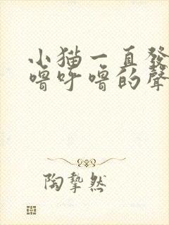 小猫一直发出呼噜呼噜的声音是什么原因