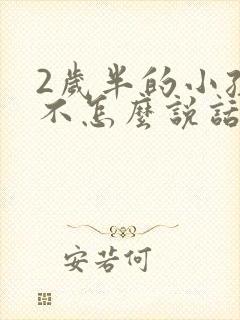 2岁半的小孩还不怎么说话,怎么办