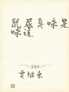 鼠尿臭味是什么味道