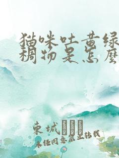 猫咪吐黄绿色粘稠物是怎么回事