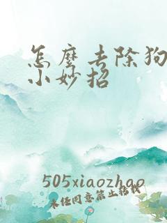 怎么去除狗尿味小妙招