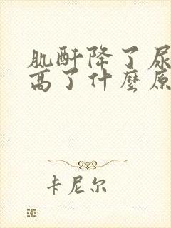 肌酐降了尿蛋白高了什么原因?