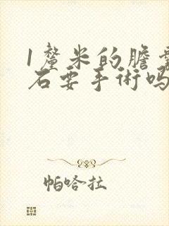 1厘米的胆囊结石要手术吗