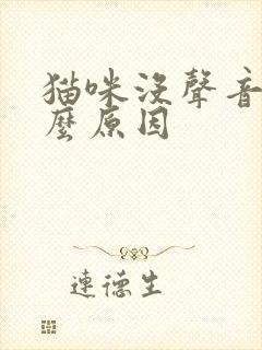 猫咪没声音了什么原因