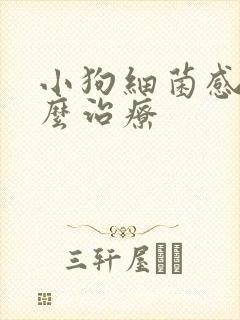 小狗细菌感染怎么治疗