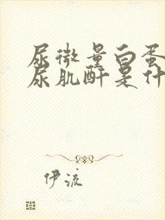 尿微量白蛋白/尿肌酐是什么