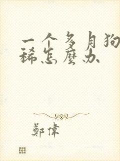 一个多月狗狗拉稀怎么办