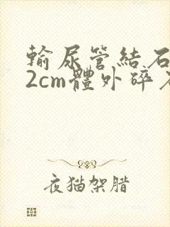 输尿管结石1.2cm体外碎石得多少钱