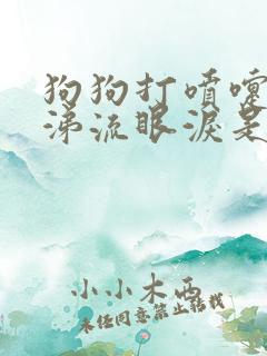 狗狗打喷嚏流鼻涕流眼泪是怎么回事