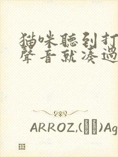 猫咪听到打电话声音就凑过来