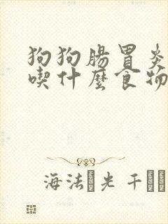 狗狗肠胃炎好了吃什么食物