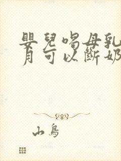 婴儿喝母乳几个月可以断奶