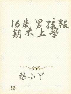 16岁男孩叛逆期不上学