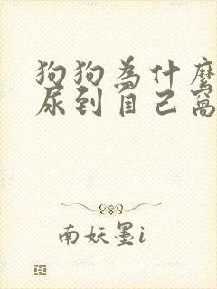 狗狗为什么突然尿到自己窝里