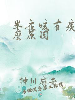 半夜咳有痰是什么原因