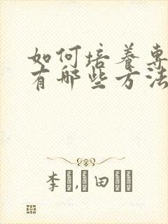 如何培养专注力有哪些方法