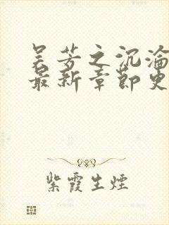 吴芳之沉沦全文最新章节更新时间