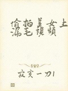 偷拍美女上厕所漏毛视频