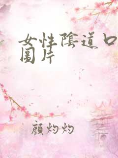 女性阴道口内疣图片