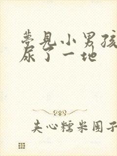 梦见小男孩在家尿了一地