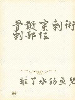 骨髓穿刺术的穿刺部位