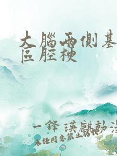 大脑两侧基底节区腔梗