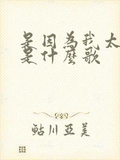 是因为我太爱你是什么歌