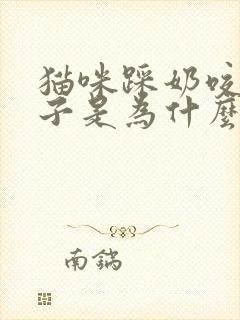 猫咪踩奶咬着毯子是为什么