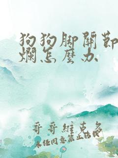 狗狗脚关节红肿烂怎么办